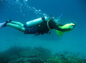 Specialty Diving Phuket Nitrox Wreck Night