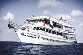 Similan, Richelieu Rock, Koh Bon, Koh Tachai, Surin